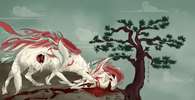 Okami Foto: Games4U